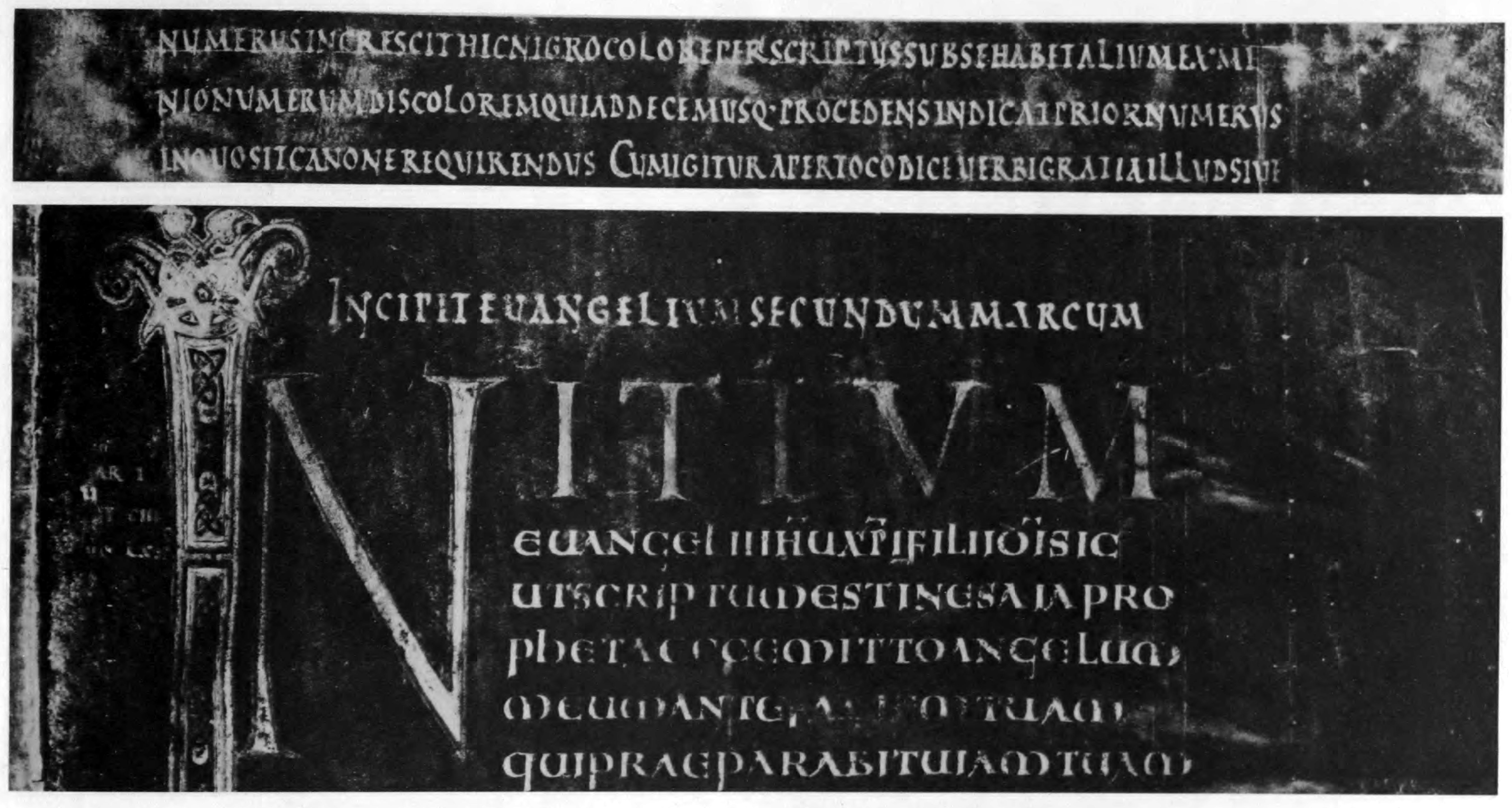 187.jpg