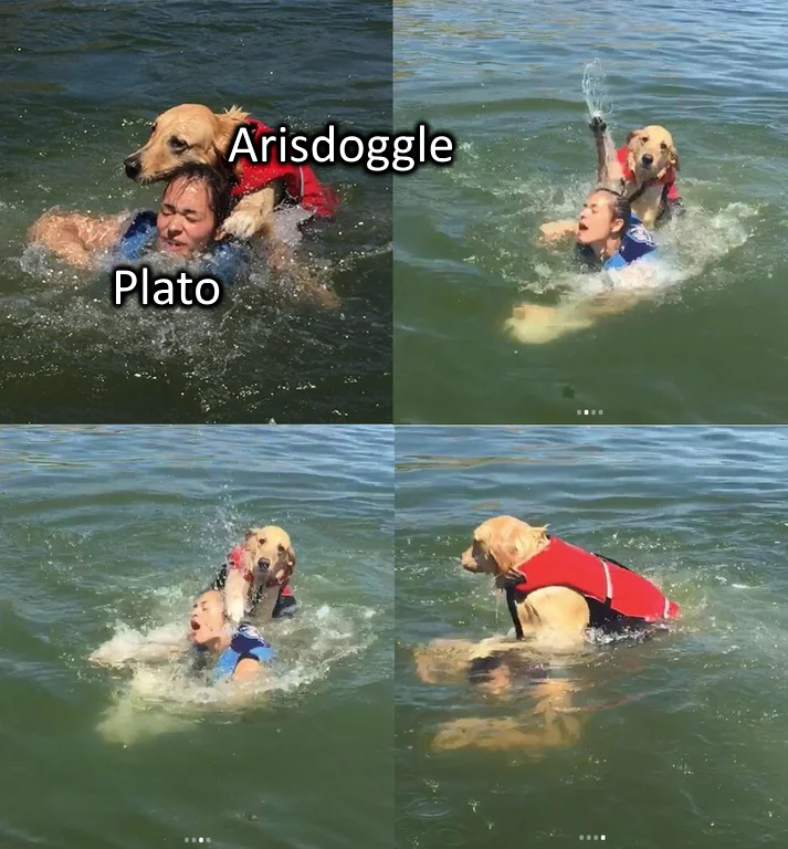 5e767adea2562526f29df7217892480e.png