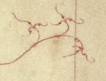b66b1075327f189ac0ed376368d8b8d2.png